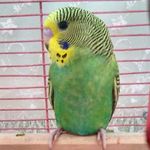 💚CASPER💚 - @_ben.casper_ - Instagram