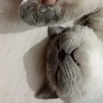 Casper😻 - @ben_casperr - Instagram
