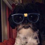 Ben Castaneda - @cast_ben - Instagram