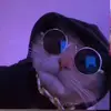 Ben Castaneda - @bcastaneda24 - TikTok