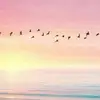 bencasteels - @bencasteels - TikTok
