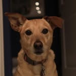 Ben Cates - @bencatess - Instagram