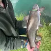 Freshwater_hypehouse - @ben_catesss - TikTok