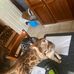 Benjamin Catterall - Facebook