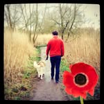 Ben Caulfield - @benji_caulfield - Instagram