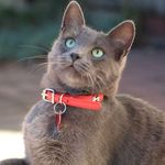 Ceniza Benito - @cenizabenito - Instagram