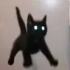benoftheweek - @ben.central - TikTok