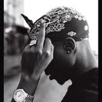 Ben Cervantes - @oaklandbreed510 - Instagram