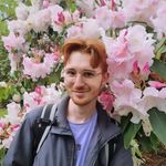 Ben Chadwick - @ficus.benjamin - Instagram