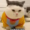 鄉南Ben逃 - @ben.chang39 - TikTok