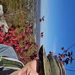 Ben Chesser - @chesserbc - Instagram