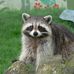 Ben Chow - Facebook