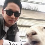 Ben Chow - @ben.chow.14 - Instagram