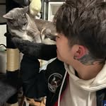 Ben Chow - @ben_amindo - Instagram