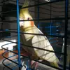 BEN.CHUPPY - @ben.chuppy - TikTok