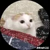 Thịnh vô tri - @benchuppy02 - TikTok