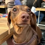 Ben Clifton Brown - @ben_clifton_brown - Instagram