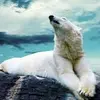 benclifton247 - @benclifton247 - TikTok