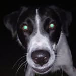 Ben Coker - @benstopholis - Instagram