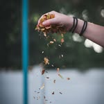 Ben Coles - @benc_bts - Instagram