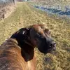 bencollier86 - @bencollier86 - TikTok