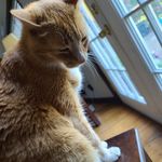 Benjamin Luke Sconyers - @benjaminlsconyers - Instagram