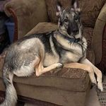 Bennigan - @bennigan_conyers - Instagram