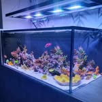 Ben Cook - @bencooksreef - Instagram