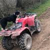 Ben Cookson - @bencookson67 - TikTok