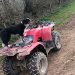 @ben__cookson - Instagram