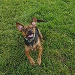 Ben Cookson - @cookson5218 - Instagram