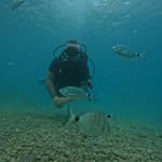 Ben Coombes - @boa93911 - Instagram