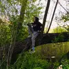 Ben Cooper - @ben_cooper0 - TikTok