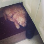 Ben Corbett - @benbo12345678 - Instagram