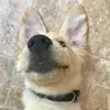 Ben Corbitt - @bencornbits - TikTok