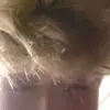 ben - @bencordaa - TikTok
