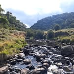 Ben Cork - @bencorkgemineye - Instagram