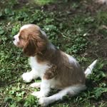 Ben Cork - @bencorktheking - Instagram