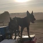 Ben Corkhill - @ben.corkhill - Instagram