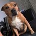 Ben Corley - Facebook