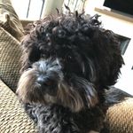 Ben Corley - @bruhsupwitchu - Instagram