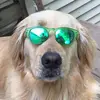 BenCormier_87 - @bencormier_87 - TikTok