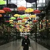 Ben . Cornell - @bencornell - TikTok