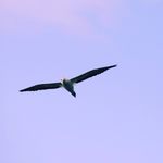 Ben Cornell - @ben_cornell - Instagram