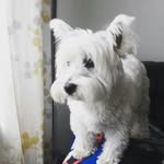 Ben corns - @bencorns05 - Instagram