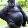 Benc - @ben_cornwell04 - TikTok