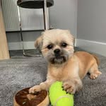 Ben Corrie - @bigbencorrie - Instagram