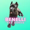 Benelli The Corso - @benelli_the_cane_corso - TikTok