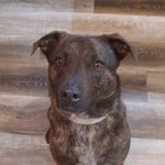 Ben Costello - @bencostello_71 - Instagram