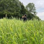 Ben Costello - @benjamin_costello - Instagram